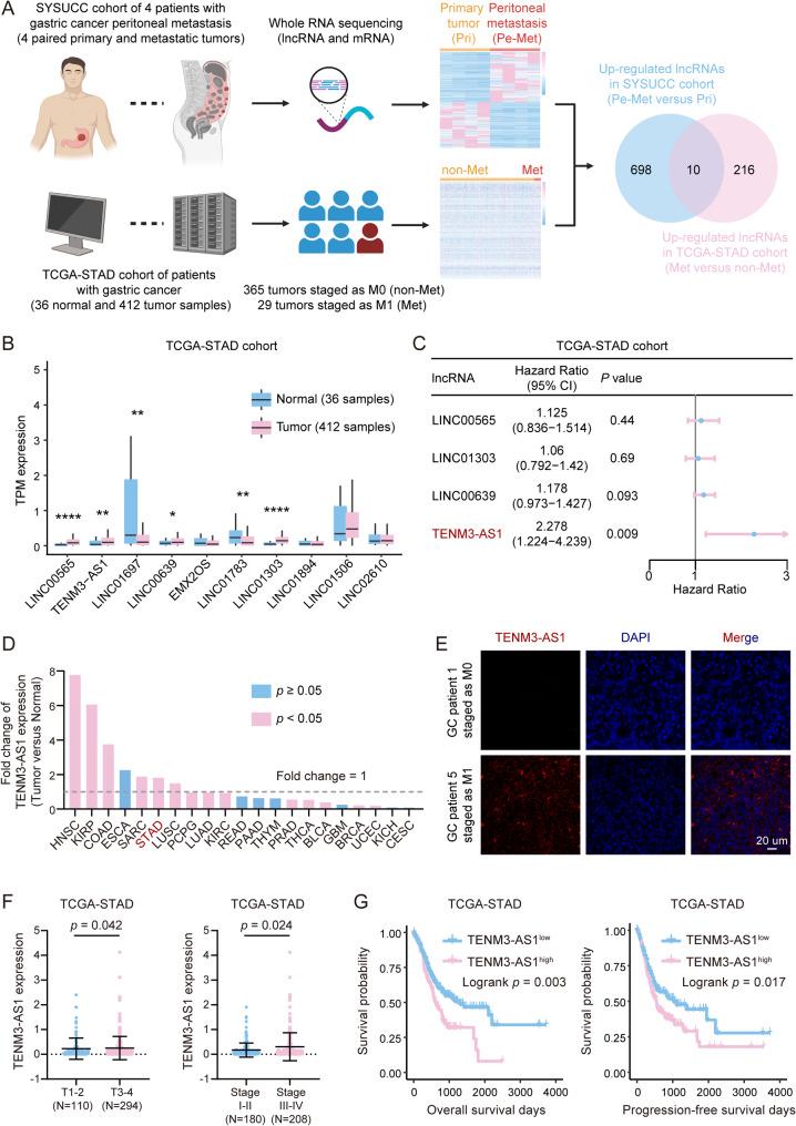 https://cdn.ncbi.nlm.nih.gov/pmc/blobs/0361/12142828/cbdb8076f4bb/12943_2025_2341_Fig1_HTML.jpg