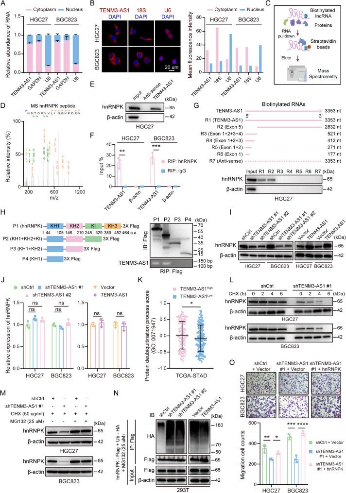 https://cdn.ncbi.nlm.nih.gov/pmc/blobs/0361/12142828/f7e6bc8abf07/12943_2025_2341_Fig5_HTML.jpg