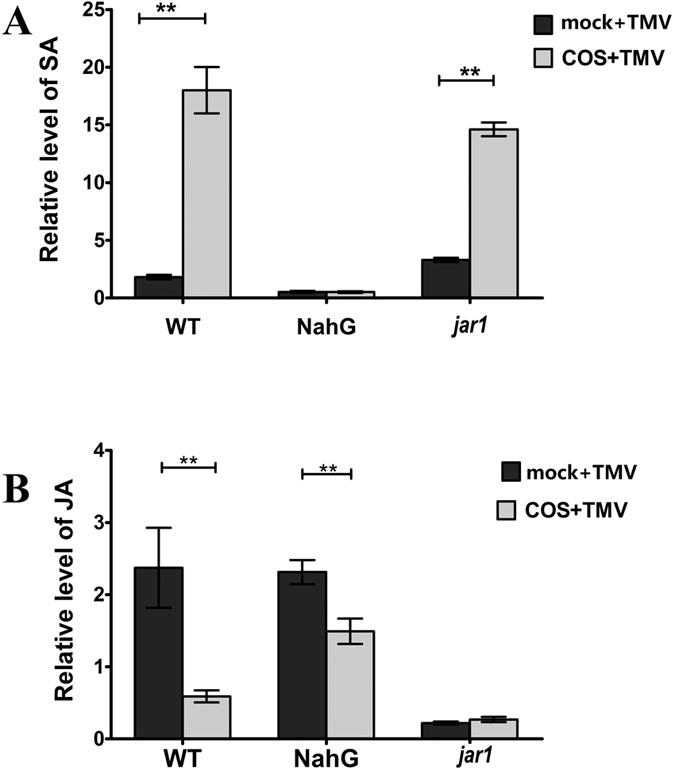 https://cdn.ncbi.nlm.nih.gov/pmc/blobs/0361/4870575/686f93943f1f/srep26144-f5.jpg
