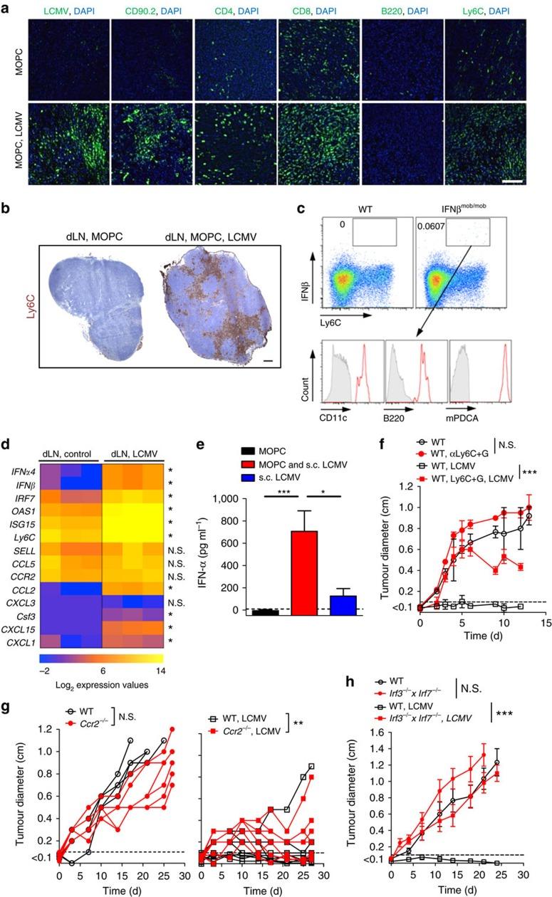 https://cdn.ncbi.nlm.nih.gov/pmc/blobs/0361/5337983/2c13cf3f1c34/ncomms14447-f3.jpg