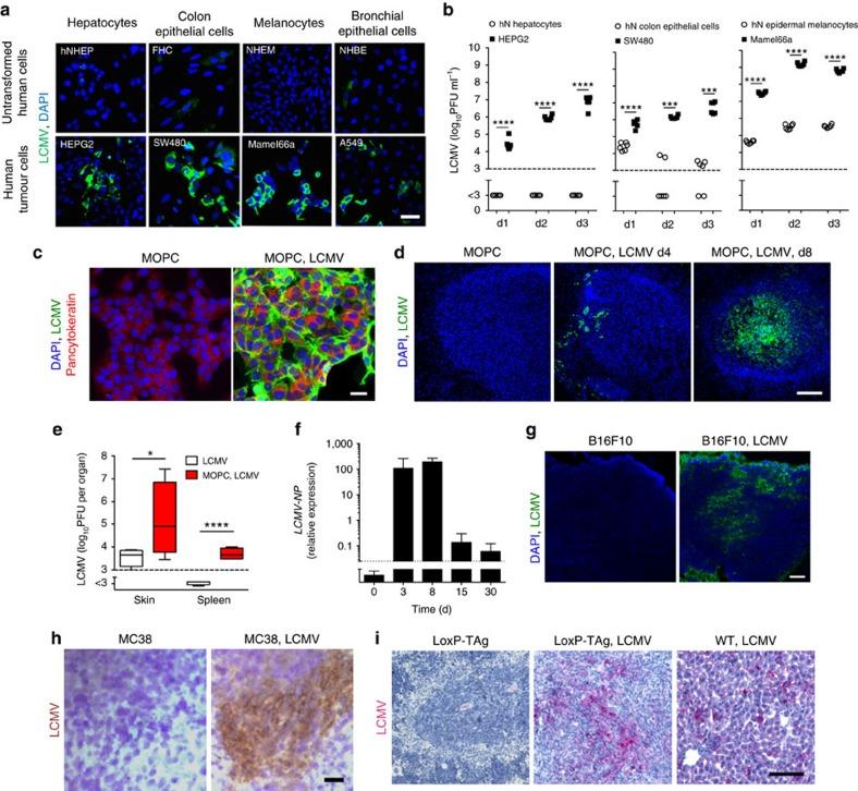 https://cdn.ncbi.nlm.nih.gov/pmc/blobs/0361/5337983/6d444072bf3f/ncomms14447-f1.jpg