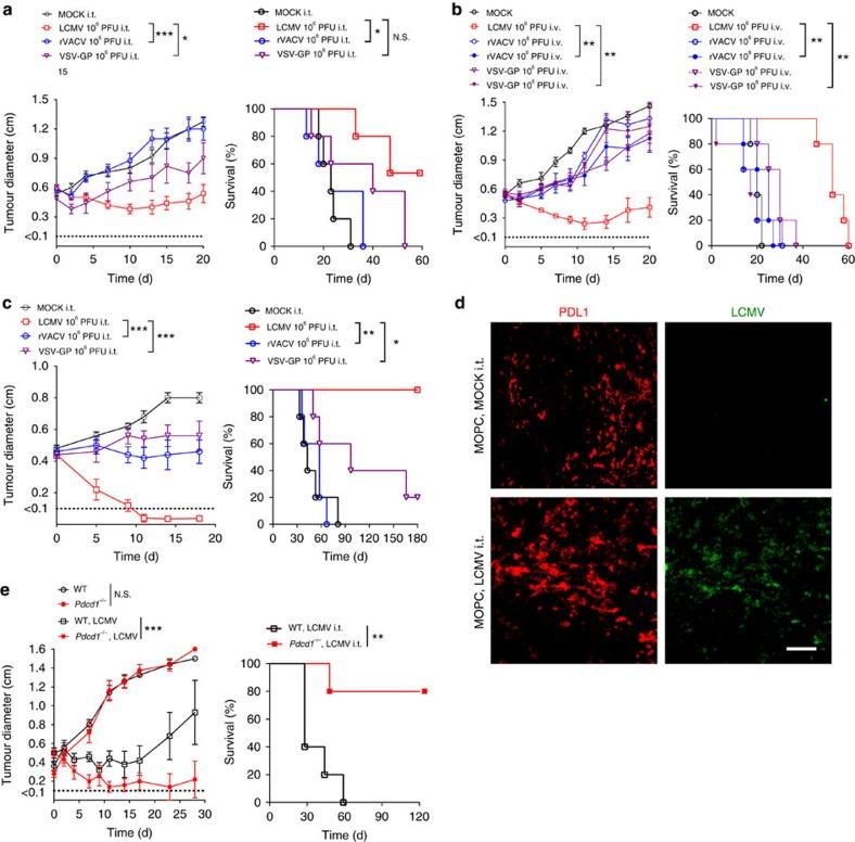https://cdn.ncbi.nlm.nih.gov/pmc/blobs/0361/5337983/6fd412fa1866/ncomms14447-f6.jpg