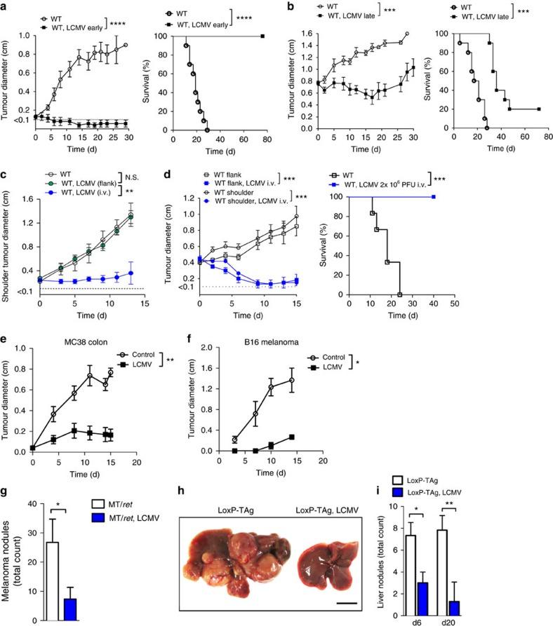 https://cdn.ncbi.nlm.nih.gov/pmc/blobs/0361/5337983/a88ba82912ec/ncomms14447-f2.jpg