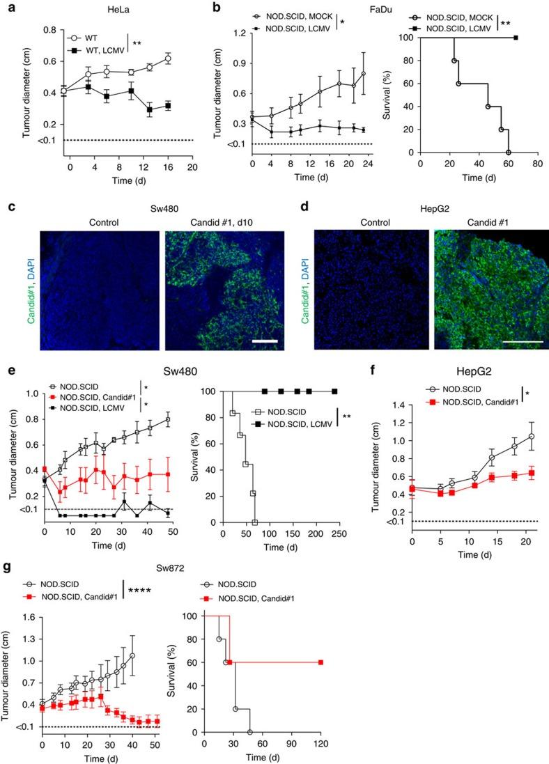https://cdn.ncbi.nlm.nih.gov/pmc/blobs/0361/5337983/eeb91bc9bf75/ncomms14447-f5.jpg