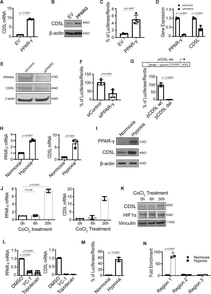 https://cdn.ncbi.nlm.nih.gov/pmc/blobs/0363/10133315/444dfd6f5509/41467_2023_36910_Fig2_HTML.jpg