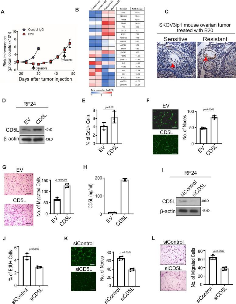 https://cdn.ncbi.nlm.nih.gov/pmc/blobs/0363/10133315/9f0c822c3616/41467_2023_36910_Fig1_HTML.jpg