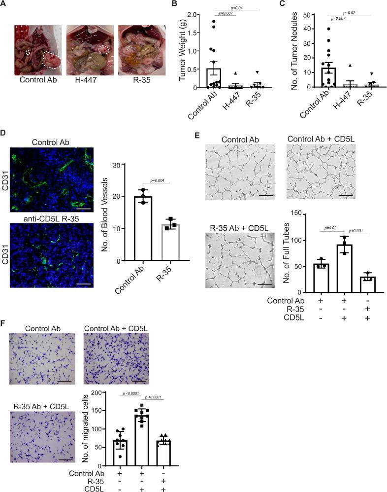 https://cdn.ncbi.nlm.nih.gov/pmc/blobs/0363/10133315/d453ab2ff570/41467_2023_36910_Fig5_HTML.jpg