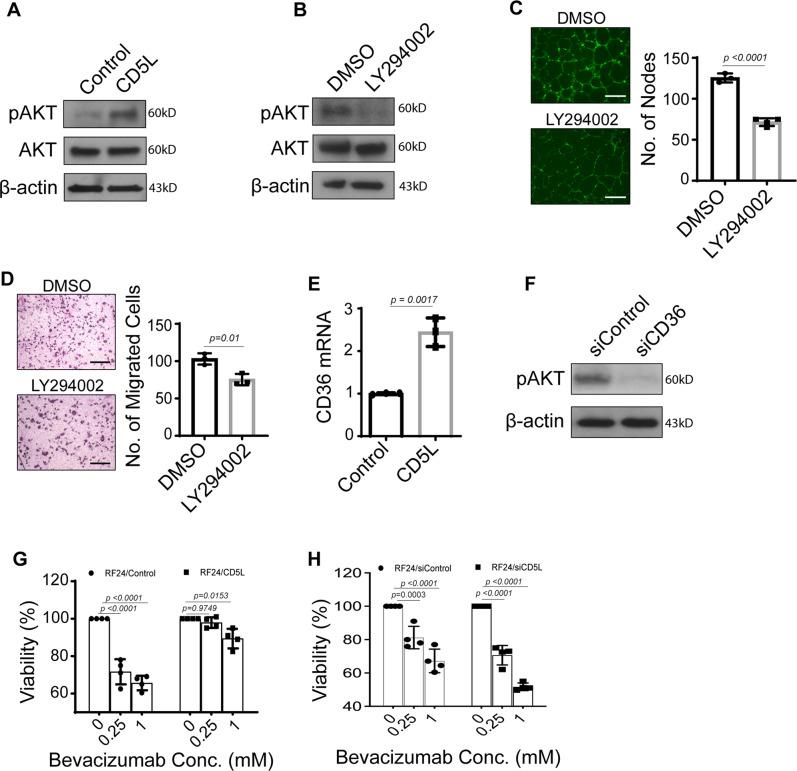 https://cdn.ncbi.nlm.nih.gov/pmc/blobs/0363/10133315/f7bee20829a2/41467_2023_36910_Fig3_HTML.jpg