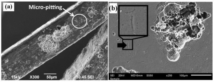 https://cdn.ncbi.nlm.nih.gov/pmc/blobs/0363/6384782/82c988e8d11a/materials-12-00407-g022.jpg