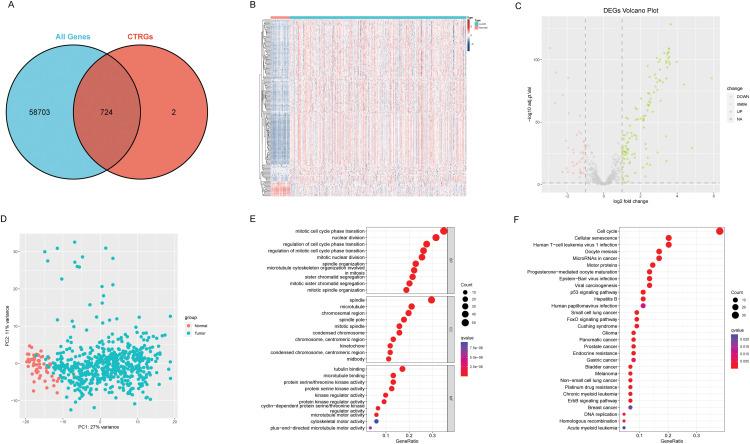 https://cdn.ncbi.nlm.nih.gov/pmc/blobs/0364/12215551/ba8ad1ab340d/OncolRes-33-56176-f002.jpg