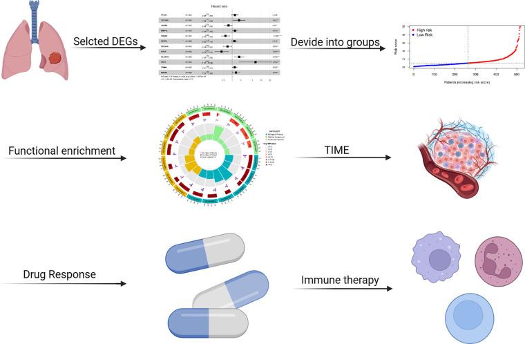 https://cdn.ncbi.nlm.nih.gov/pmc/blobs/0364/12215551/e1c9c6a78992/OncolRes-33-56176-f001.jpg