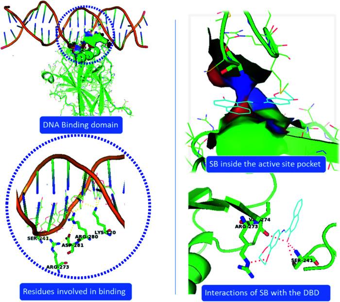 https://cdn.ncbi.nlm.nih.gov/pmc/blobs/0366/9044439/682fcf1a5731/d1ra06227a-f13.jpg
