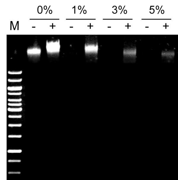 https://cdn.ncbi.nlm.nih.gov/pmc/blobs/036c/2859366/261955a0fe85/1746-4811-6-11-1.jpg
