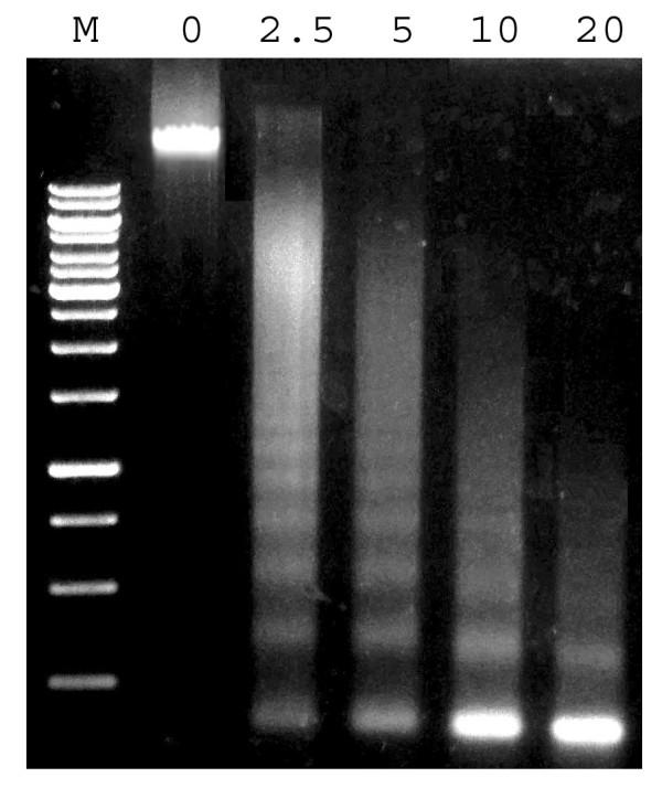 https://cdn.ncbi.nlm.nih.gov/pmc/blobs/036c/2859366/2d2923ee266c/1746-4811-6-11-3.jpg
