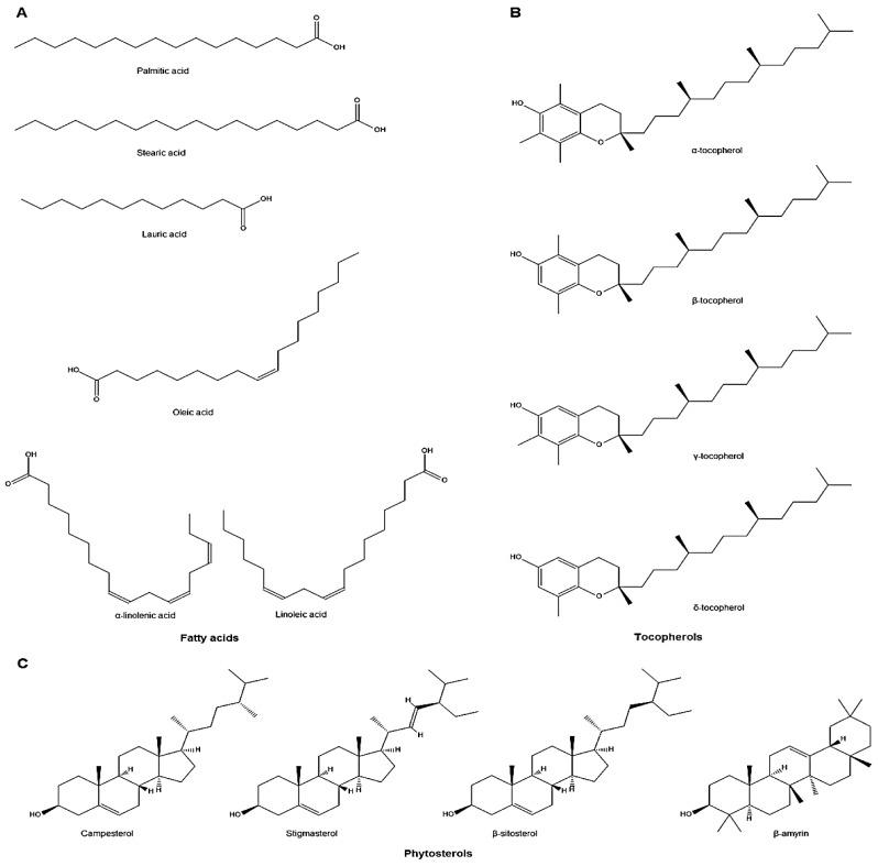 https://cdn.ncbi.nlm.nih.gov/pmc/blobs/036f/6337106/2d587c79a6f9/molecules-24-00102-g004.jpg