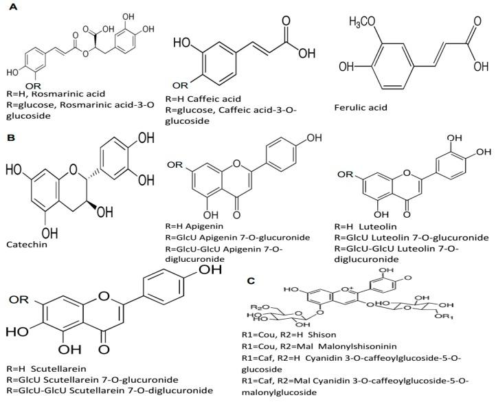 https://cdn.ncbi.nlm.nih.gov/pmc/blobs/036f/6337106/5e5b736593af/molecules-24-00102-g001.jpg