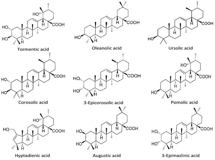 https://cdn.ncbi.nlm.nih.gov/pmc/blobs/036f/6337106/ab47c7ac7d38/molecules-24-00102-g003.jpg