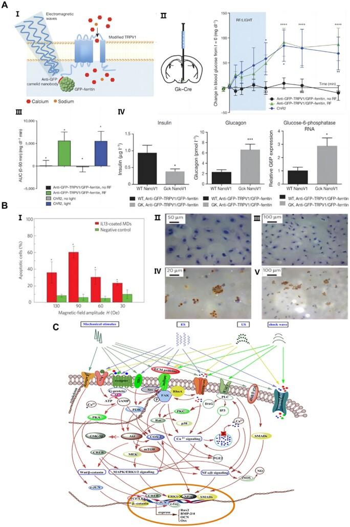 https://cdn.ncbi.nlm.nih.gov/pmc/blobs/0370/11208728/440ba85f4fbf/rbae048f5.jpg