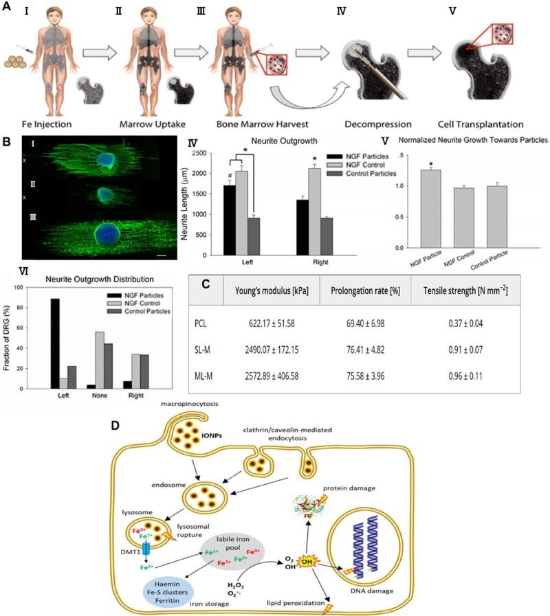 https://cdn.ncbi.nlm.nih.gov/pmc/blobs/0370/11208728/aa27b2fbf2ad/rbae048f4.jpg