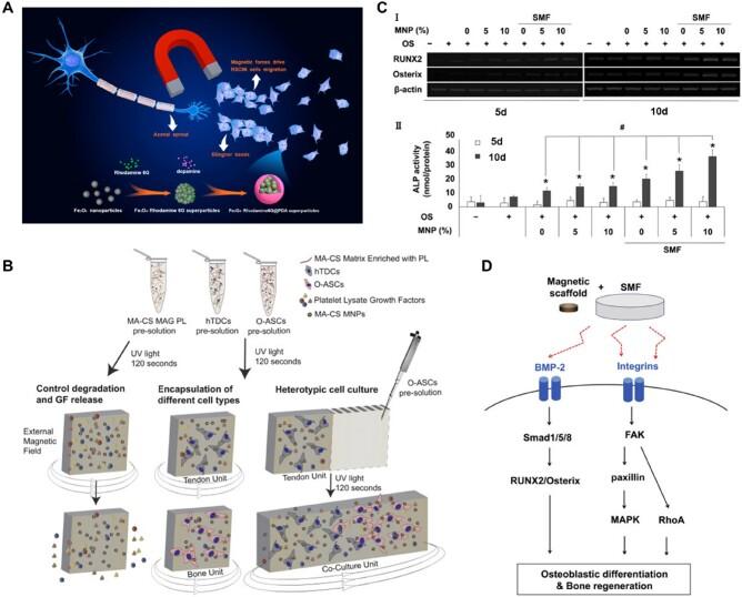 https://cdn.ncbi.nlm.nih.gov/pmc/blobs/0370/11208728/e2d7230a12ba/rbae048f6.jpg