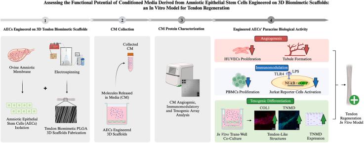 https://cdn.ncbi.nlm.nih.gov/pmc/blobs/0371/10899023/8a645a5bfdb8/ga1.jpg