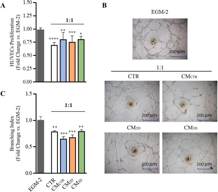 https://cdn.ncbi.nlm.nih.gov/pmc/blobs/0371/10899023/946a99e09081/gr4.jpg