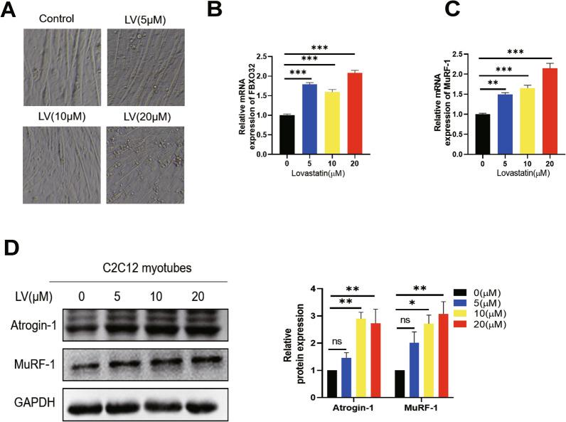 https://cdn.ncbi.nlm.nih.gov/pmc/blobs/0371/11686997/3e891943b488/13020_2024_1034_Fig1_HTML.jpg