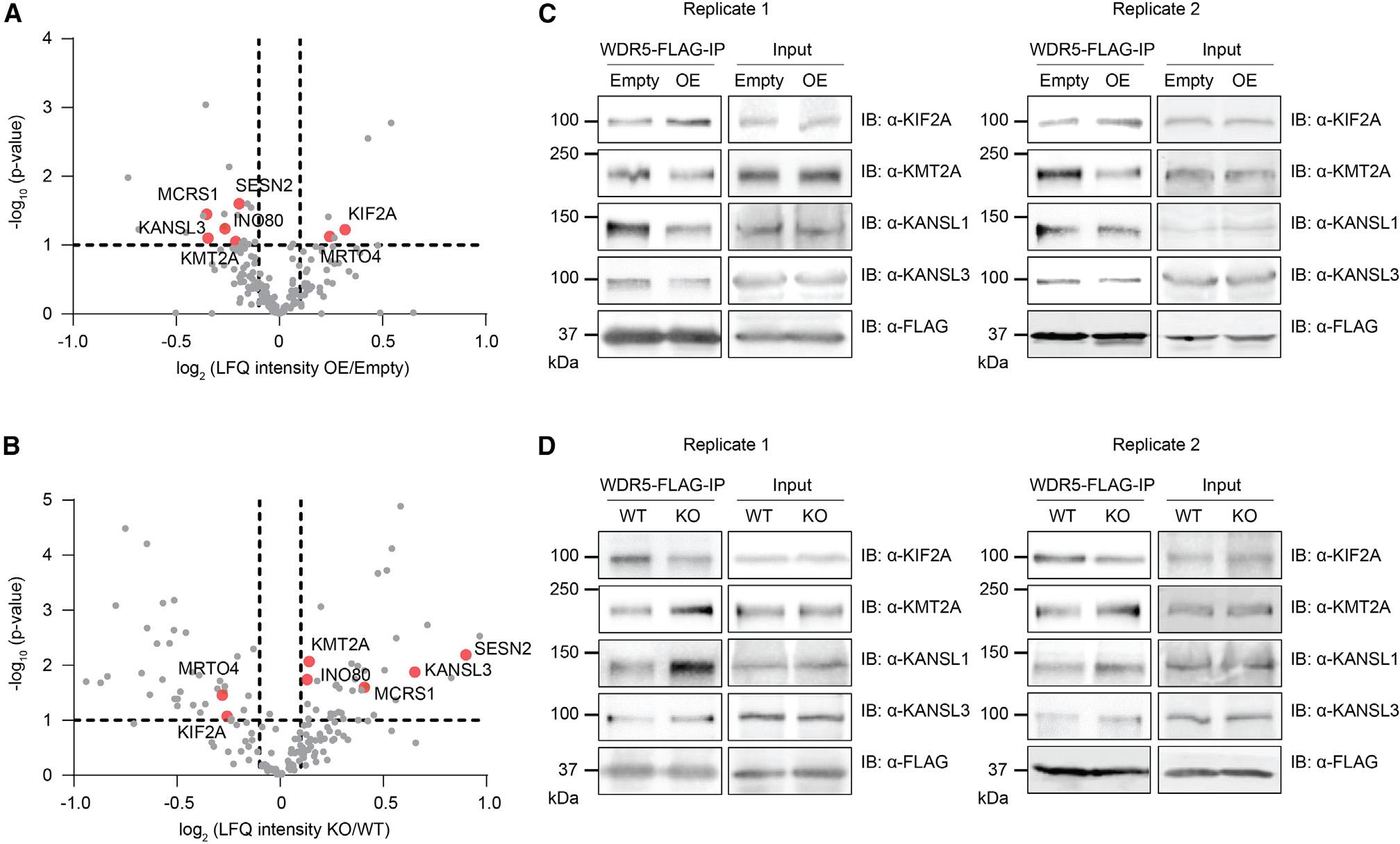 https://cdn.ncbi.nlm.nih.gov/pmc/blobs/0377/10629662/291a285b22f9/nihms-1933924-f0004.jpg
