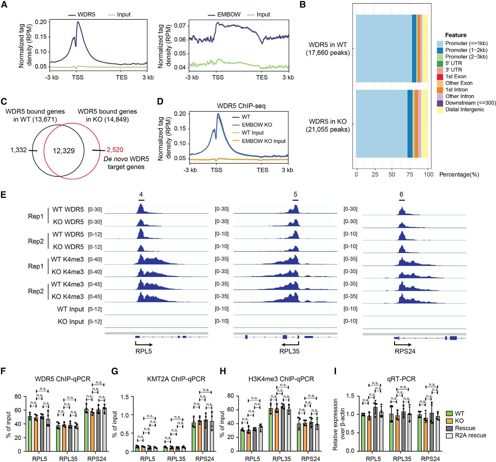 https://cdn.ncbi.nlm.nih.gov/pmc/blobs/0377/10629662/d59cb4abd972/nihms-1933924-f0006.jpg