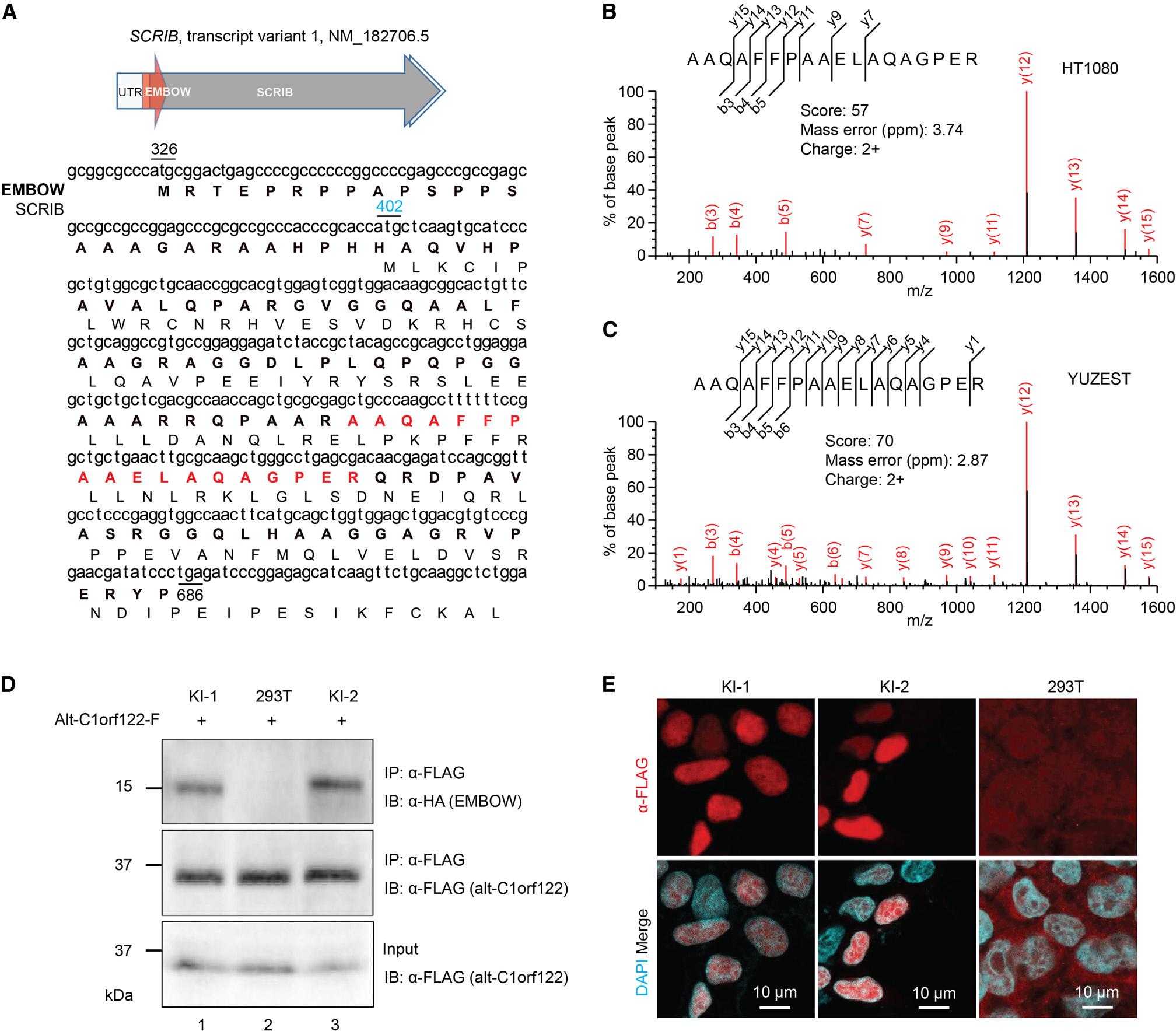 https://cdn.ncbi.nlm.nih.gov/pmc/blobs/0377/10629662/e3ff33ed4725/nihms-1933924-f0002.jpg