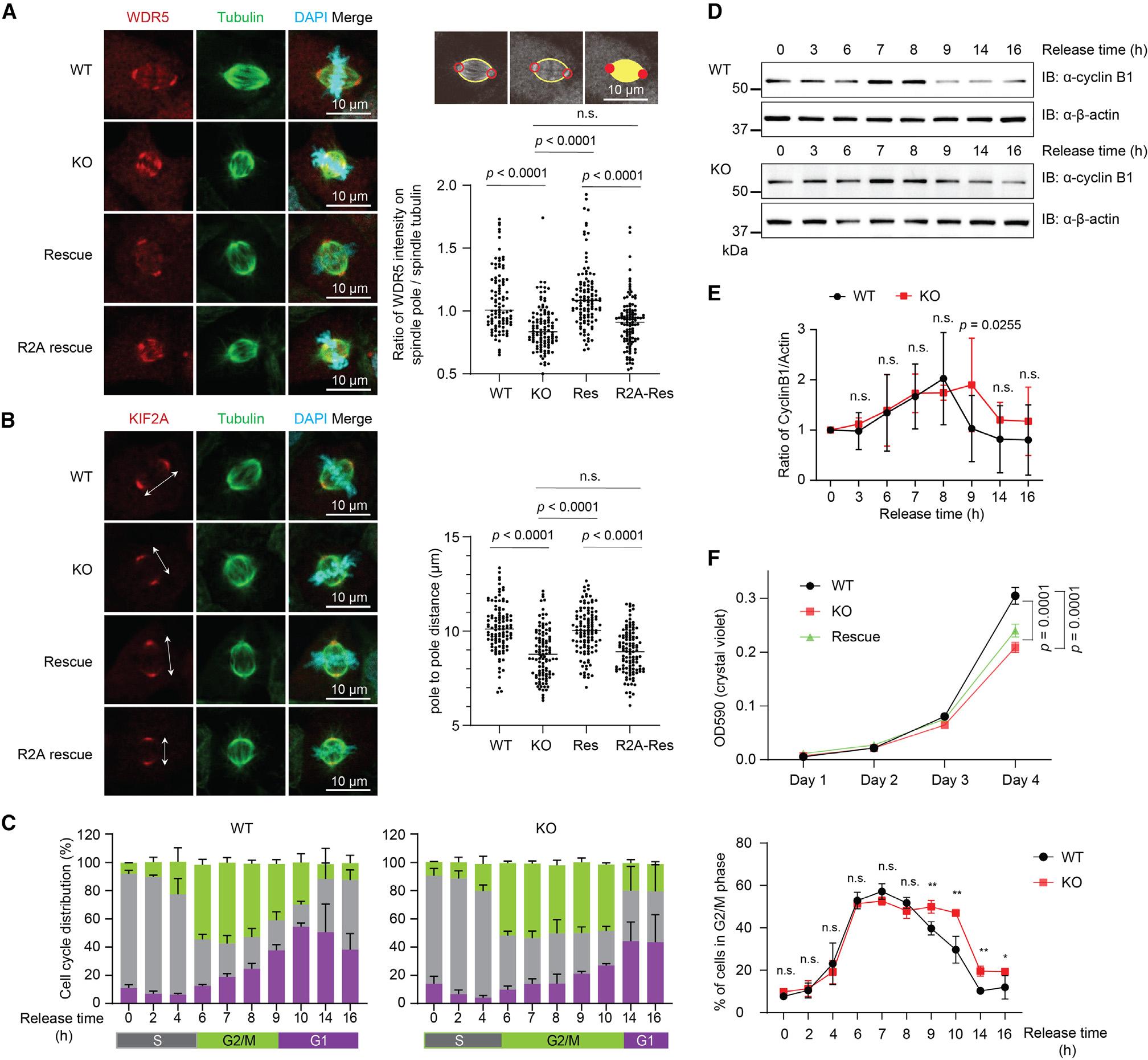 https://cdn.ncbi.nlm.nih.gov/pmc/blobs/0377/10629662/e654cea5012d/nihms-1933924-f0005.jpg