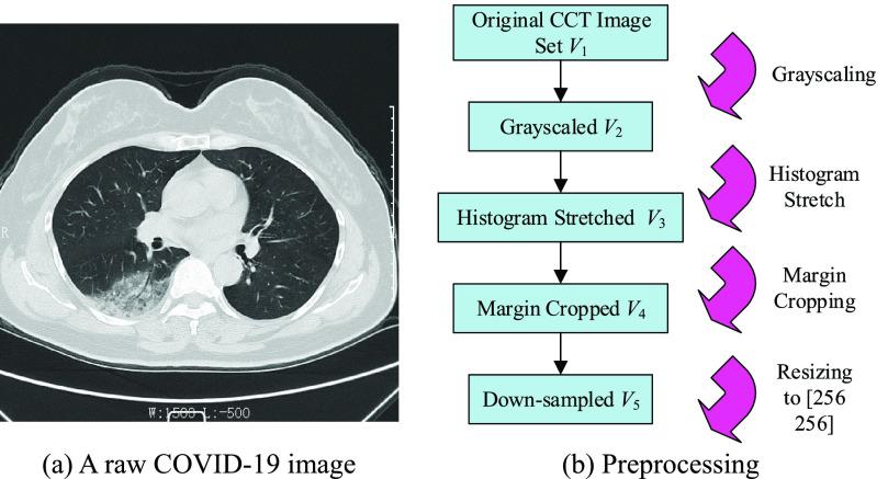 https://cdn.ncbi.nlm.nih.gov/pmc/blobs/0377/9564037/431d1398b912/zhang1-3025855.jpg