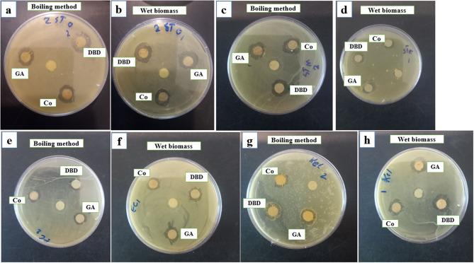 https://cdn.ncbi.nlm.nih.gov/pmc/blobs/0378/11460180/045df26ec7c8/12896_2024_905_Fig6_HTML.jpg