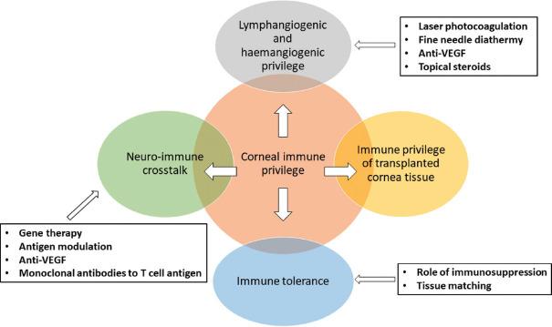 https://cdn.ncbi.nlm.nih.gov/pmc/blobs/037a/10565940/60ea9b707904/IJO-71-3149-g004.jpg
