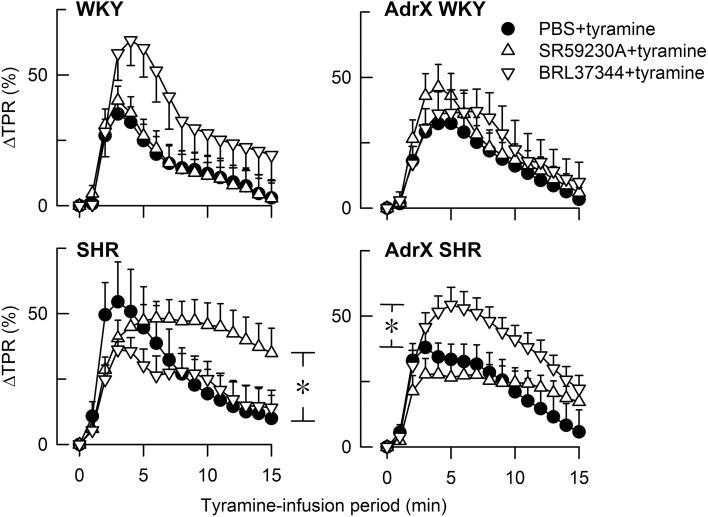 https://cdn.ncbi.nlm.nih.gov/pmc/blobs/037a/4271585/9dcb2d313fd4/fphys-05-00499-g0002.jpg