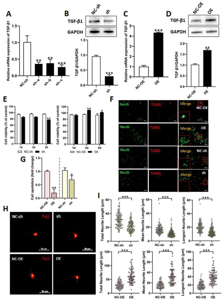 https://cdn.ncbi.nlm.nih.gov/pmc/blobs/037b/12024759/42e564ec1253/biomedicines-13-00872-g002.jpg