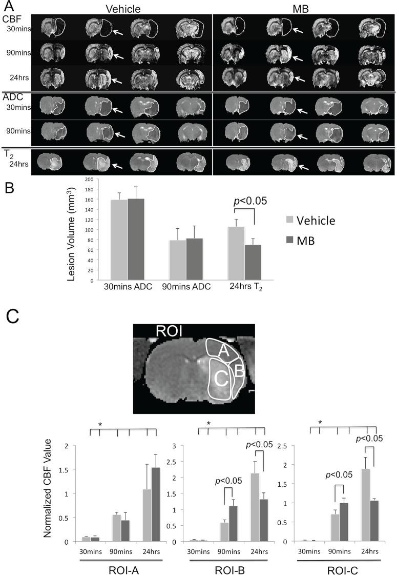 https://cdn.ncbi.nlm.nih.gov/pmc/blobs/037b/4488003/faadd642b20d/pone.0131929.g001.jpg