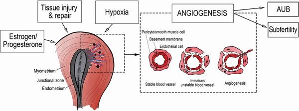 https://cdn.ncbi.nlm.nih.gov/pmc/blobs/037c/6737562/85728fd9aff2/dmz024f3.jpg