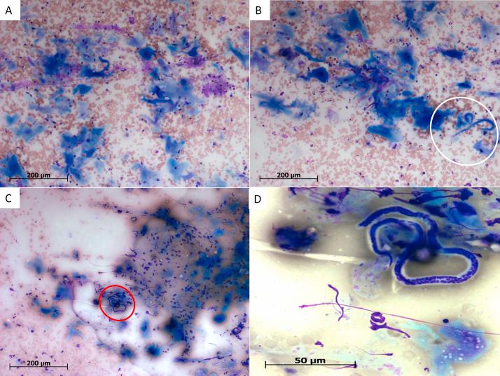 https://cdn.ncbi.nlm.nih.gov/pmc/blobs/037f/4719799/e8e408d9d5c3/gr2.jpg