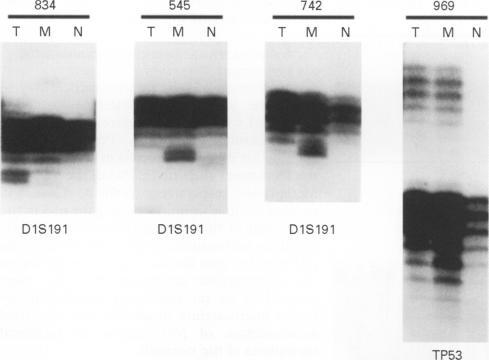 https://cdn.ncbi.nlm.nih.gov/pmc/blobs/0381/500266/62fb7b61e170/jclinpath00259-0045-a.jpg