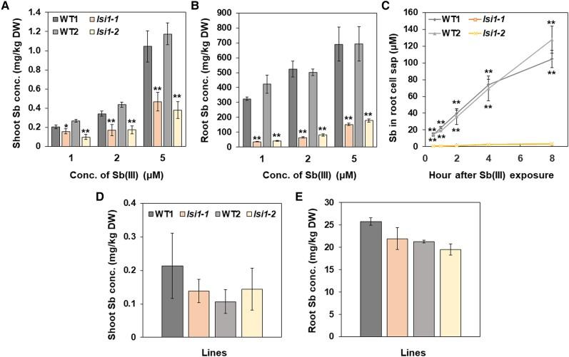 https://cdn.ncbi.nlm.nih.gov/pmc/blobs/0382/11288759/454d45a2d8ba/kiae289f4.jpg