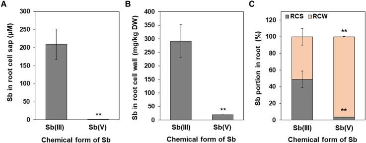 https://cdn.ncbi.nlm.nih.gov/pmc/blobs/0382/11288759/bb9f7ef6e0ec/kiae289f2.jpg
