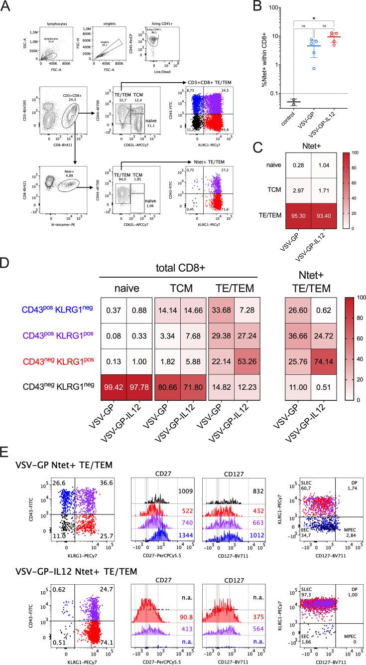 https://cdn.ncbi.nlm.nih.gov/pmc/blobs/0382/12366581/9ce60ce67e6e/jitc-13-8-g004.jpg