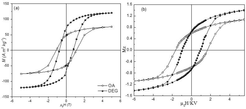 https://cdn.ncbi.nlm.nih.gov/pmc/blobs/0382/8308320/4efc24623904/nanomaterials-11-01787-g003.jpg