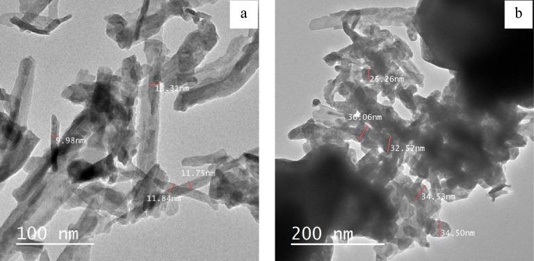 https://cdn.ncbi.nlm.nih.gov/pmc/blobs/0384/10987520/14493fd0a0c9/41598_2024_57848_Fig7_HTML.jpg