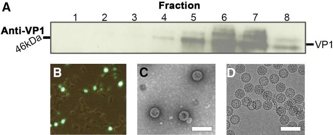 https://cdn.ncbi.nlm.nih.gov/pmc/blobs/0387/4826271/d9d9a8082599/gr2.jpg