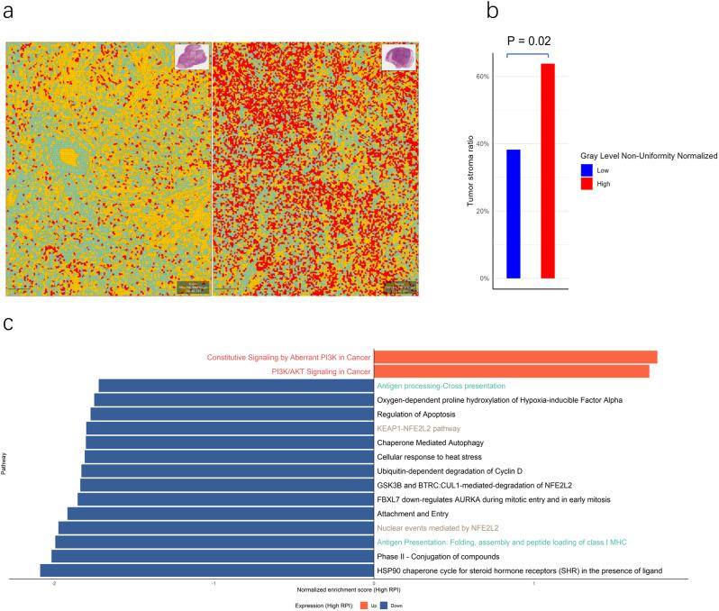 https://cdn.ncbi.nlm.nih.gov/pmc/blobs/038a/11089675/2c01241127a9/40644_2024_707_Fig6_HTML.jpg