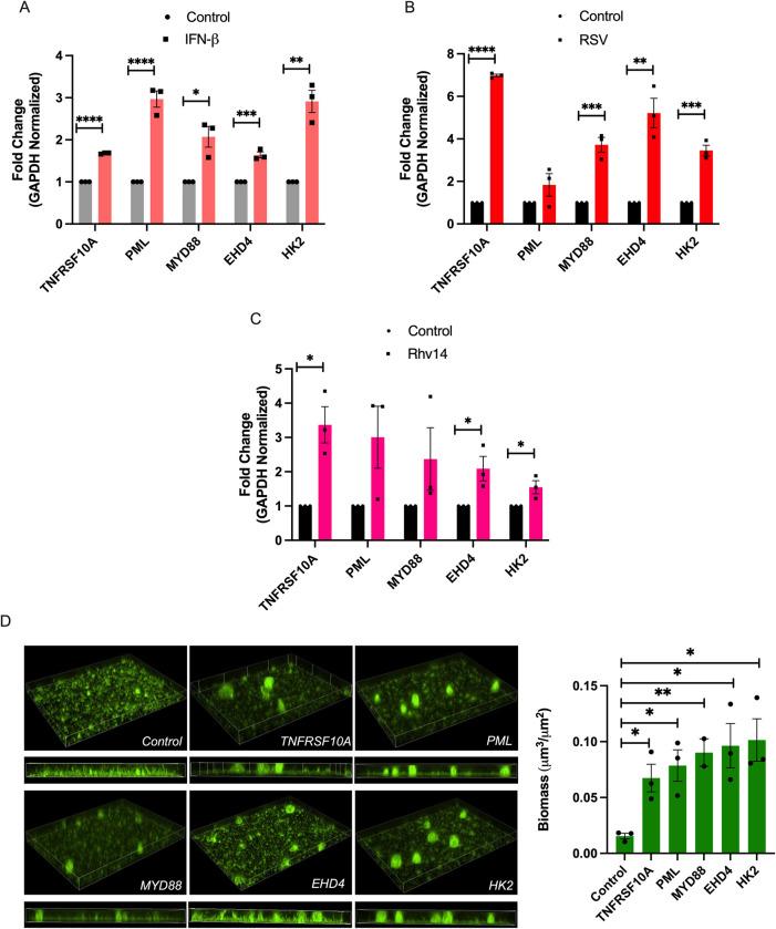 https://cdn.ncbi.nlm.nih.gov/pmc/blobs/038b/10631704/62496e03dbe2/ppat.1011719.g002.jpg