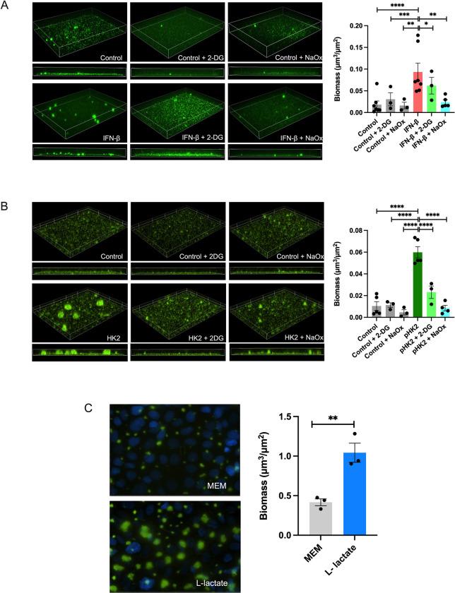 https://cdn.ncbi.nlm.nih.gov/pmc/blobs/038b/10631704/b352cbe67a4b/ppat.1011719.g004.jpg