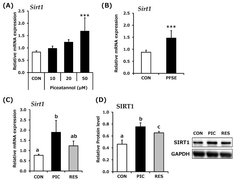 https://cdn.ncbi.nlm.nih.gov/pmc/blobs/038c/11122325/d608b60fd2a0/life-14-00589-g001.jpg